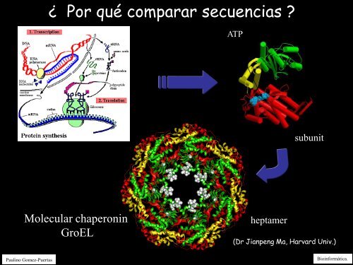 Alineamiento de secuencias biolÃ³gicas (pdf).