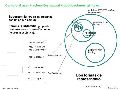 Alineamiento de secuencias biolÃ³gicas (pdf).