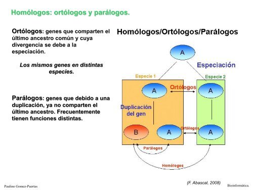 Alineamiento de secuencias biolÃ³gicas (pdf).