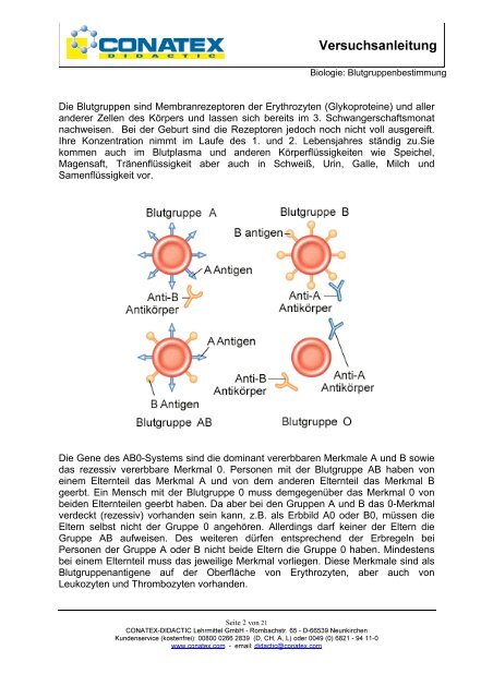 Blutgruppen-Bestimmung im ABO-System ( Versuchskit 109.3140 ...