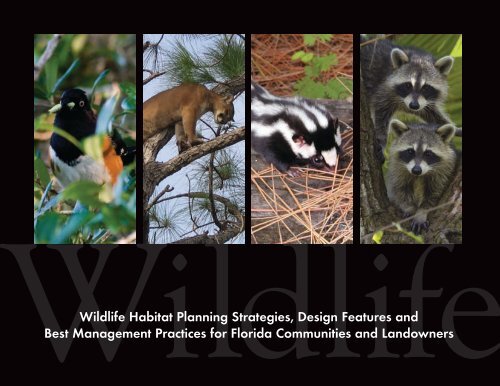 Wildlife Habitat Planning Strategies, Design ... - Sonoran Institute