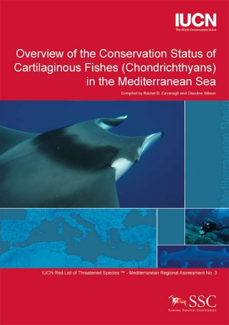 iucn mediterranean sharks (pdf) - The Shark Trust
