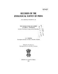 RECORDS OF THE ZOOLOGICAL SURVEY OF INDIA