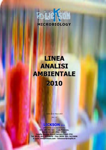 LINEA ANALISI AMBIENTALE 2010 - Lickson