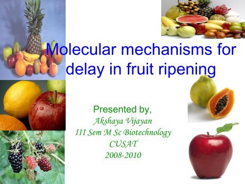 Molecular mechanisms for delay in fruit ripening - (CUSAT) â Plant ...