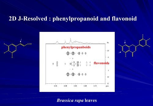 Application of 2D-NMR spectroscopy to metabolomics and ... - CSC