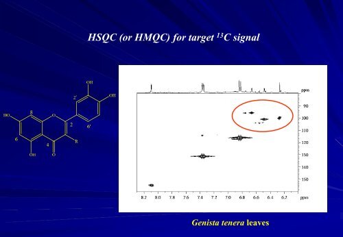 Application of 2D-NMR spectroscopy to metabolomics and ... - CSC