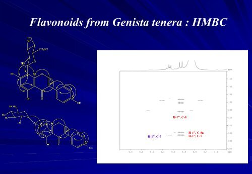 Application of 2D-NMR spectroscopy to metabolomics and ... - CSC