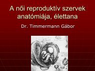 A nÅi reproduktÃ­v szervek anatÃ³miÃ¡ja, Ã©lettana - Dr. Timmermann ...