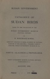 SUDAN BIRDS