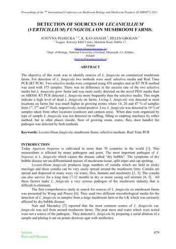 DETECTION OF SOURCES OF LECANICILLIUM (VERTICILLIUM ...