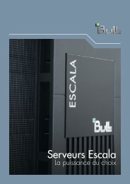 Serveurs Escala - Bull