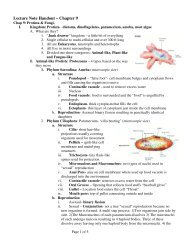 Lecture Notes - Mr.E Science