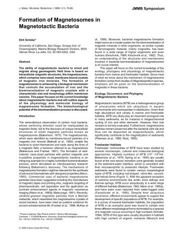 Dirk Schuler. Formation of magnetosomes in magnetotactic bacteria