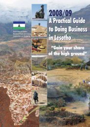 A Practical Guide to Doing Business in Lesotho A Practical Guide to ...