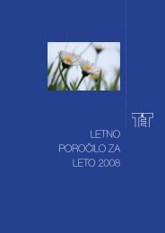 LETNO POROÄILO ZA LETO 2008 - Termoelektrarna Trbovlje