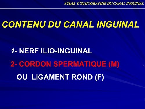 atlas d'echographie du canal inguinal