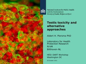 Need for Alternative Models for Testicular Toxicity Testing