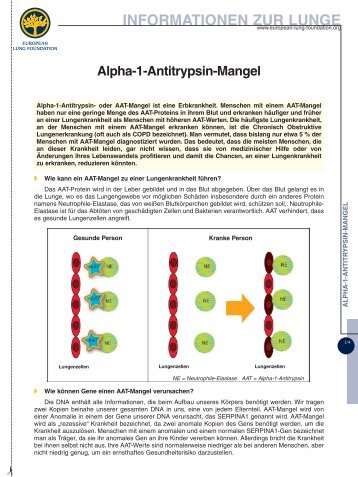 Alpha-1-Antitrypsin-Mangel - LOT