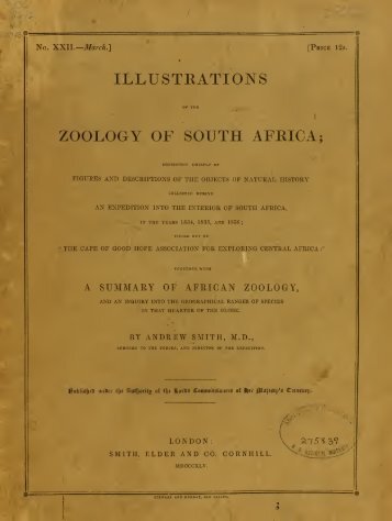 Smith_1849_P_adspersus.pdf - african amphibians lifedesk