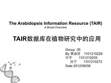 TAIR数据库在植物研究中的应用 - abc