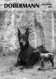 dobermann vuosikirja 2006 - Suomen Dobermannyhdistys