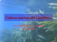 Cultivos marinos del CantÃ¡brico