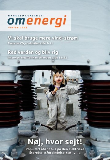 Vinter 2009 - Energinet.dk