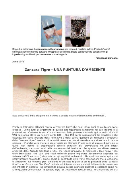 Zanzara Tigre, istruzioni per l'uso, trappola... - Vasfvgaltolivenza.it