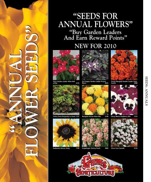 Set of 25 Flower Seed Packets Including 10 or More Varieties Forget Me Nots, Pinks, Marigolds