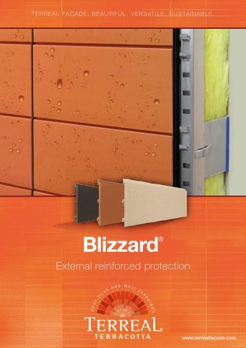 Blizzard® - Terreal