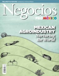 Mexican agroindustry Nurturing the World - ProMÃƒÂ©xico