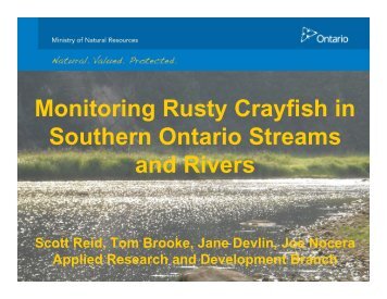 Monitoring Rusty Crayfish in Southern Ontario Streams and Rivers