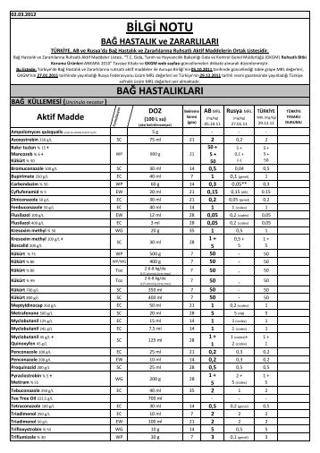 Aktif Madde