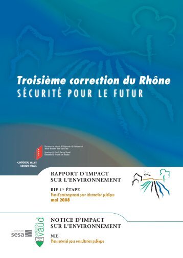 Troisième correction du Rhône - Plusieurs causes sont possibles ...