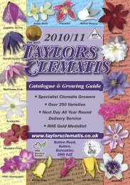 Catalogue & Growing Guide - Taylors Clematis