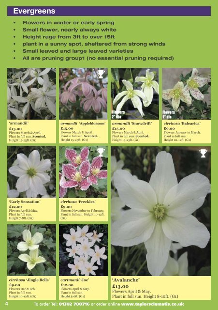 Catalogue & Growing Guide - Taylors Clematis