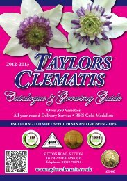 Catalogue Growing Guide - Taylors Clematis