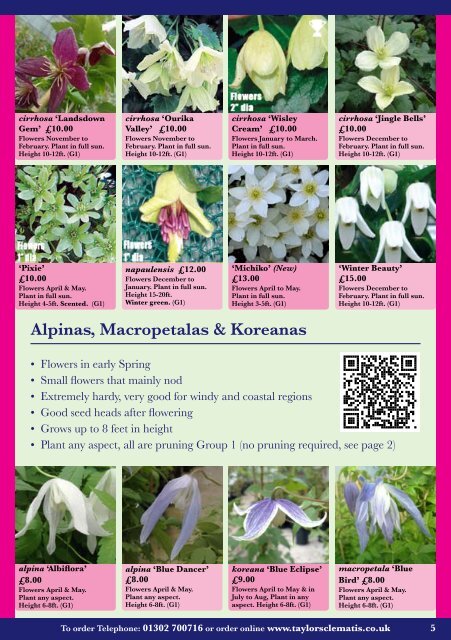 Catalogue Growing Guide - Taylors Clematis