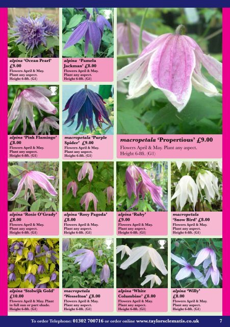 Catalogue Growing Guide - Taylors Clematis