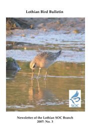 Lothian Bird Bulletin - The Scottish Ornithologists' Club