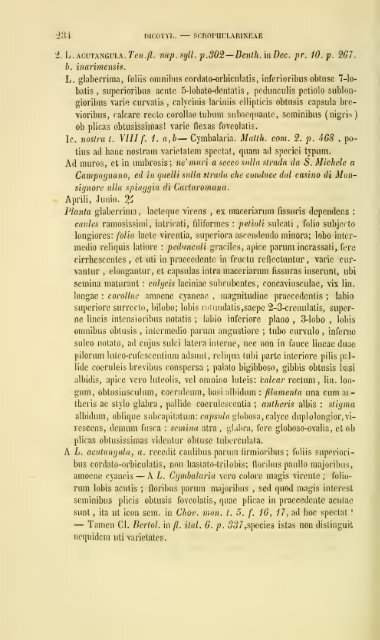 Enumeratio plantarum vascularium in insula Inarime sponte ...