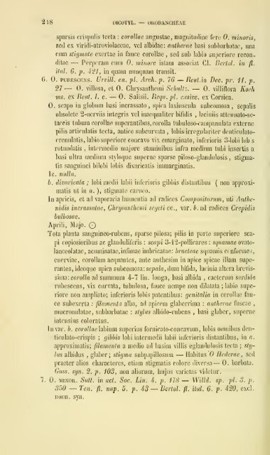 Enumeratio plantarum vascularium in insula Inarime sponte ...