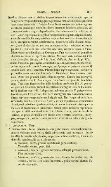 Enumeratio plantarum vascularium in insula Inarime sponte ...