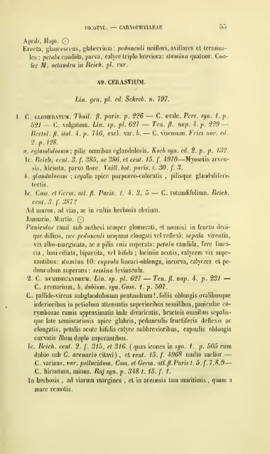 Enumeratio plantarum vascularium in insula Inarime sponte ...