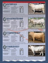 scr tuffy 0119 - Sonderup Charolais Ranch, Inc.