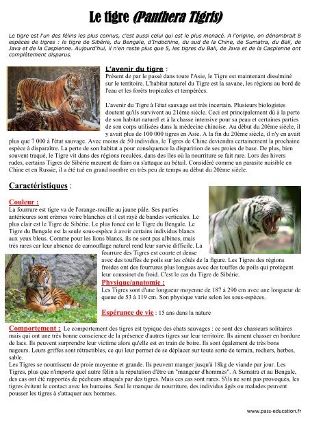 Le tigre (Panthera Tigris) - Pass Education