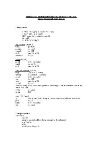 Arabidopsis protoplast isolation and transformation (from Niyogi lab ...