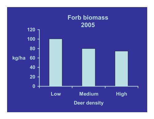 White-tailed Deer Habitat: - Caesar Kleberg Wildlife Research Institute