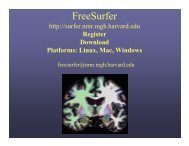 FreeSurfer
